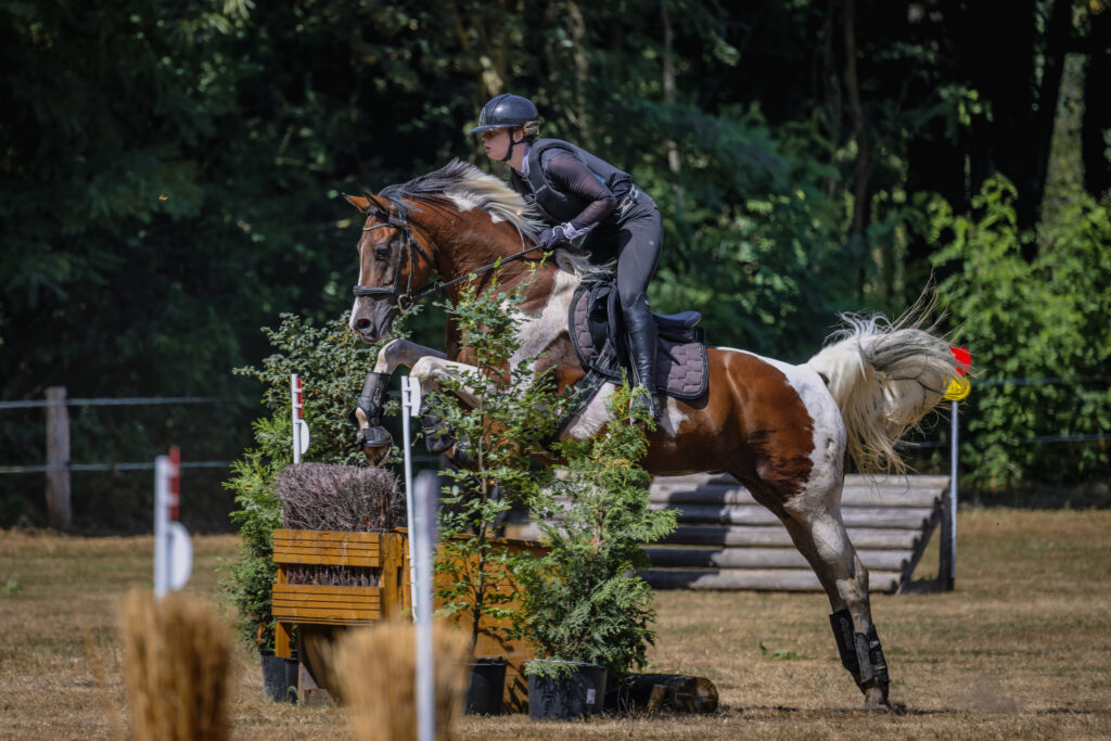Reiterin springt mit einem Pferd über ein Geländehindernis.